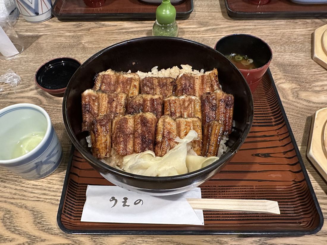 Anago-meshi, the grilled conger eel rice bowl of Miyajimaguchi